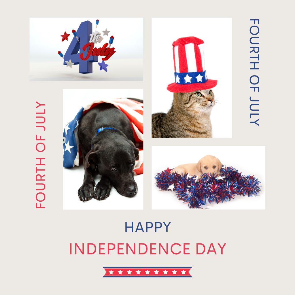 Fourth of July Collection