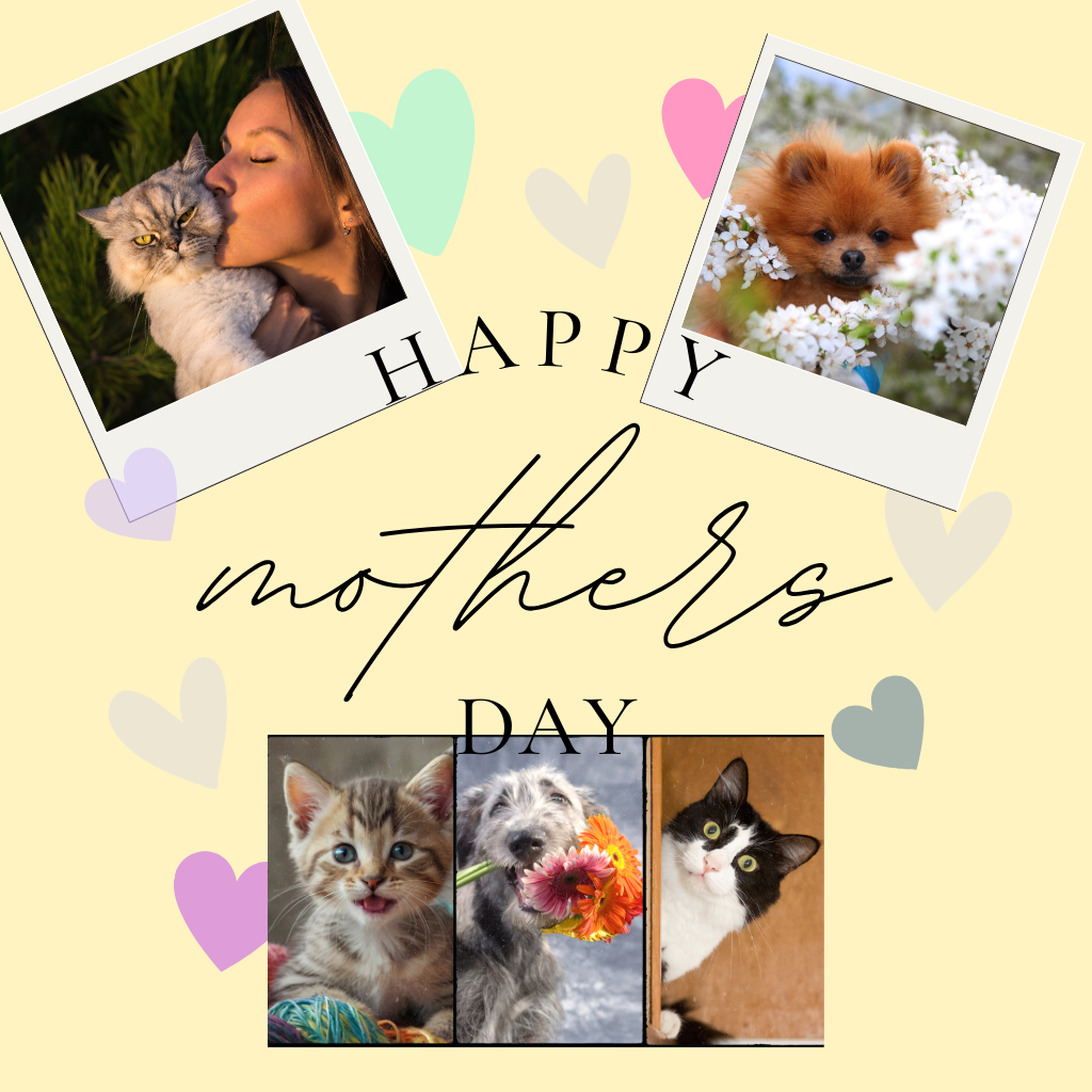 Mother's Day Collection