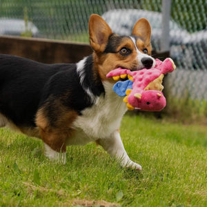 Godog - Dragons Squeaker Plush Pet Dog Toy
