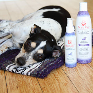 Shampoo Lavender Chamomile