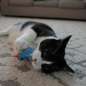 HuggleKats® Chickies Cat Toys (3pk)