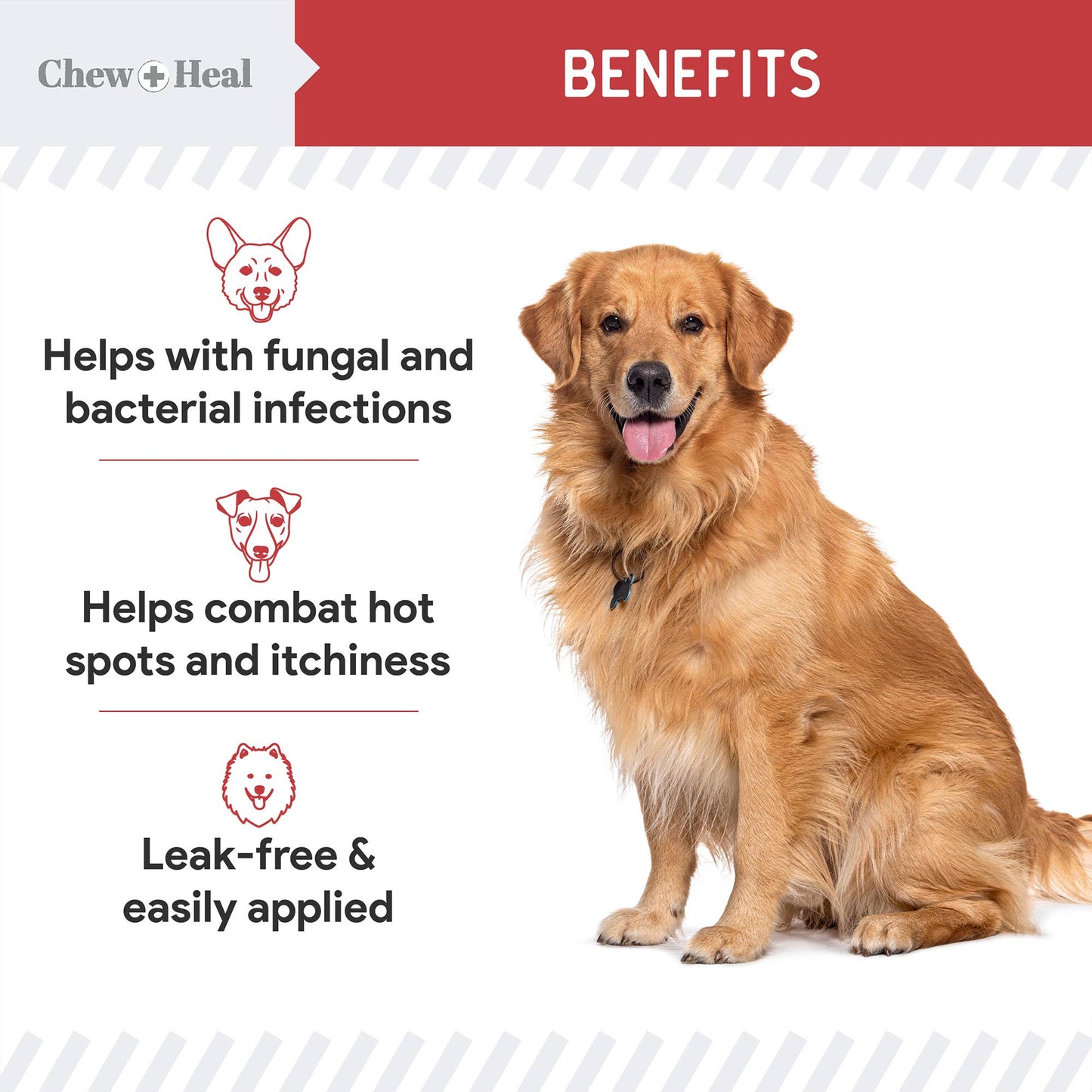 🧼🐾 Medicated Antimicrobial & Antifungal Pet Wipes – Daily Skin Support for Dogs & Cats