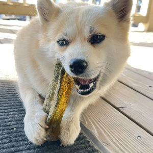 Mighty Marrows Collagen Chew