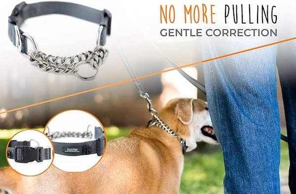 🐾✨Mighty Paw Martingale Collar