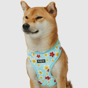 Tropical Yellow Plumeria Flower Dog Harness Vest