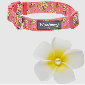 Tropical Yellow Plumeria Flower Dog Collar