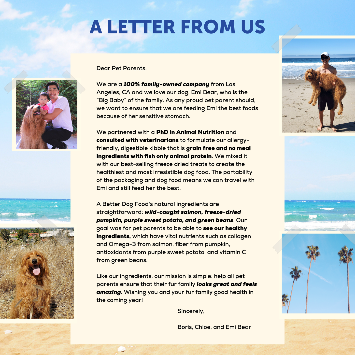 A Better Dog Food Allergy Friendly Ocean Blend - | No Chicken, Only Fish Animal Protein, No Meal Ingredients, Grain Free | Raw You Can See
