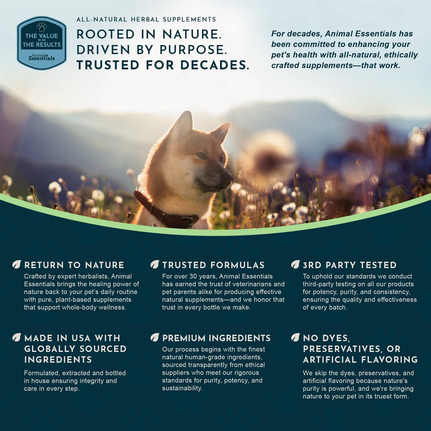 🌿🤧 Seasonal Allergy Herbal Tonic | Maintains Normal Histamine Levels