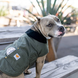 🐾 Premium Dog Dip BEEF & SHROOMS