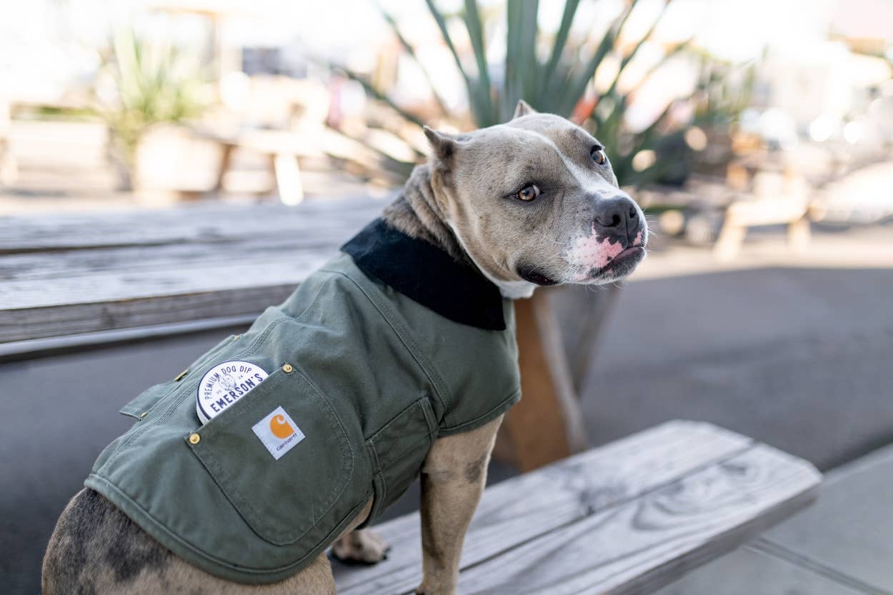 🐾 Premium Dog Dip BEEF & SHROOMS