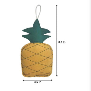 Eco-Friendly Pineapple