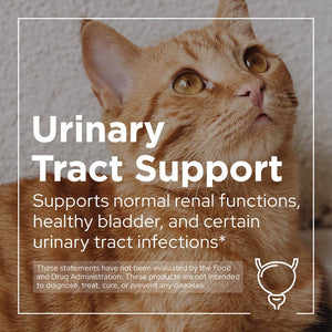 Cranberry Urinary Support Powder for Dogs & Cats