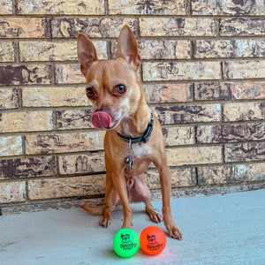 Fetch and Glow Ball
