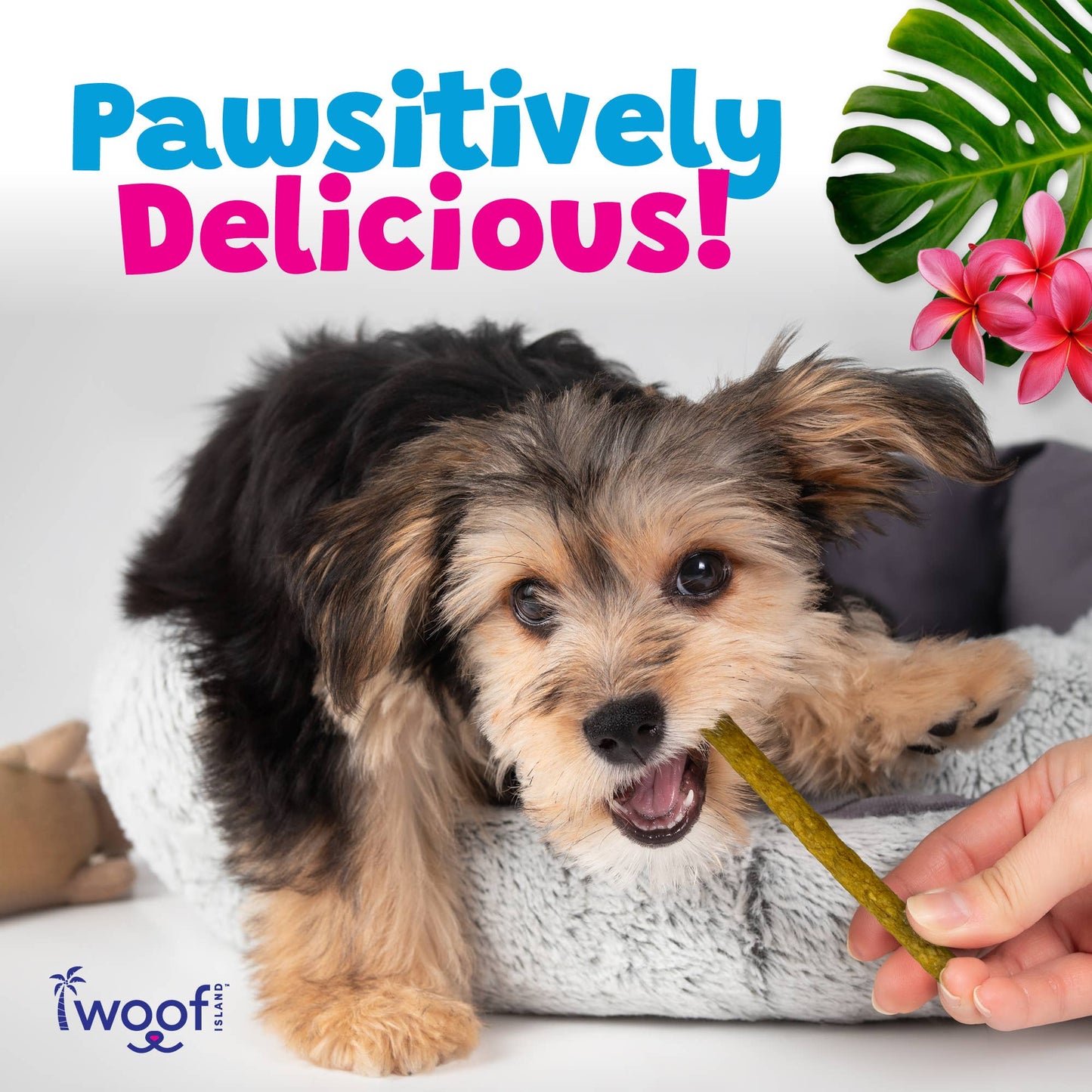 🌺🐷 Woof Island™ Kalua Pork Sticks – Long-Lasting Rawhide-Free Pork Chews for Dogs