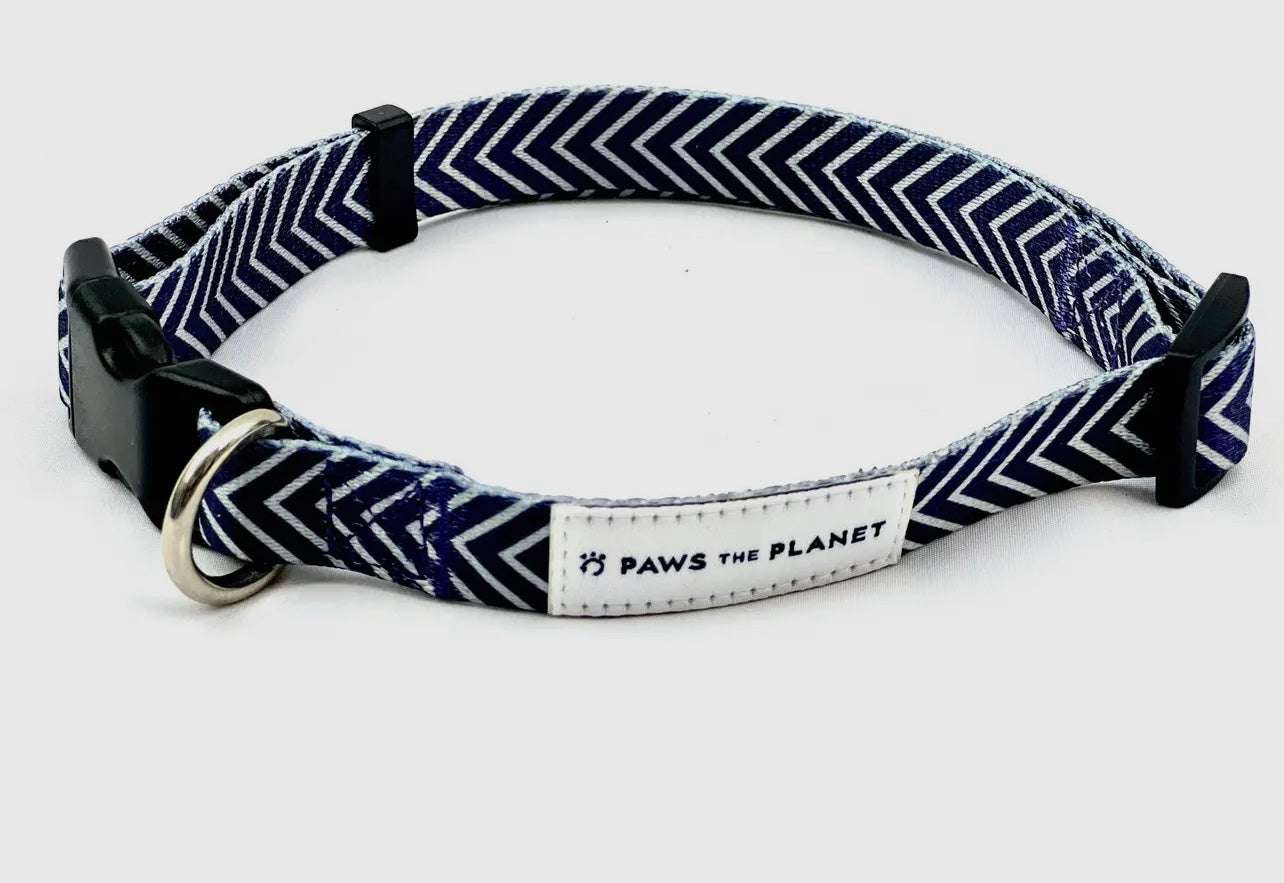 Eco Dog Collar Made with Recycled Webbing