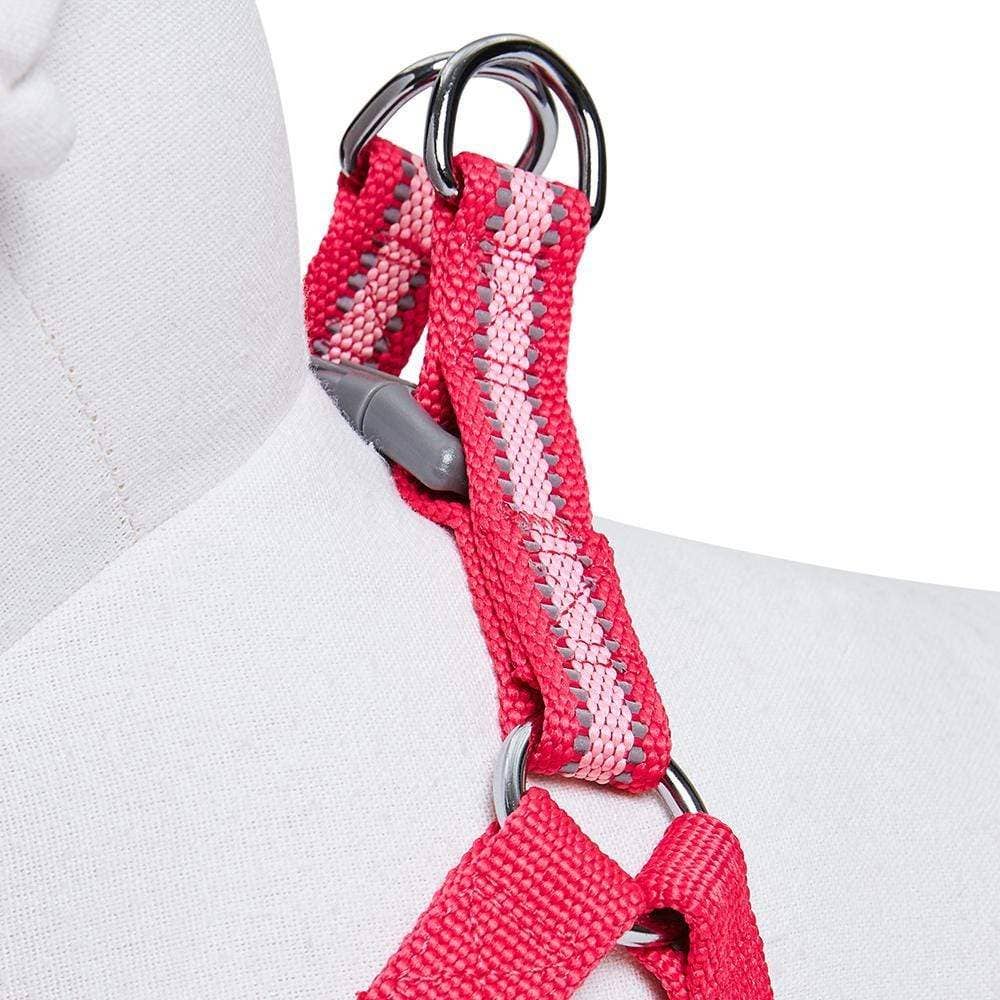 🌙🐾Better Basics Reflective Dog Harness