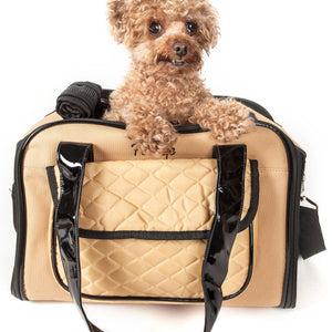 Airline Approved Mystique Fashion Pet Carrier