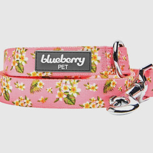 Tropical Yellow Plumeria Flower Dog Leash