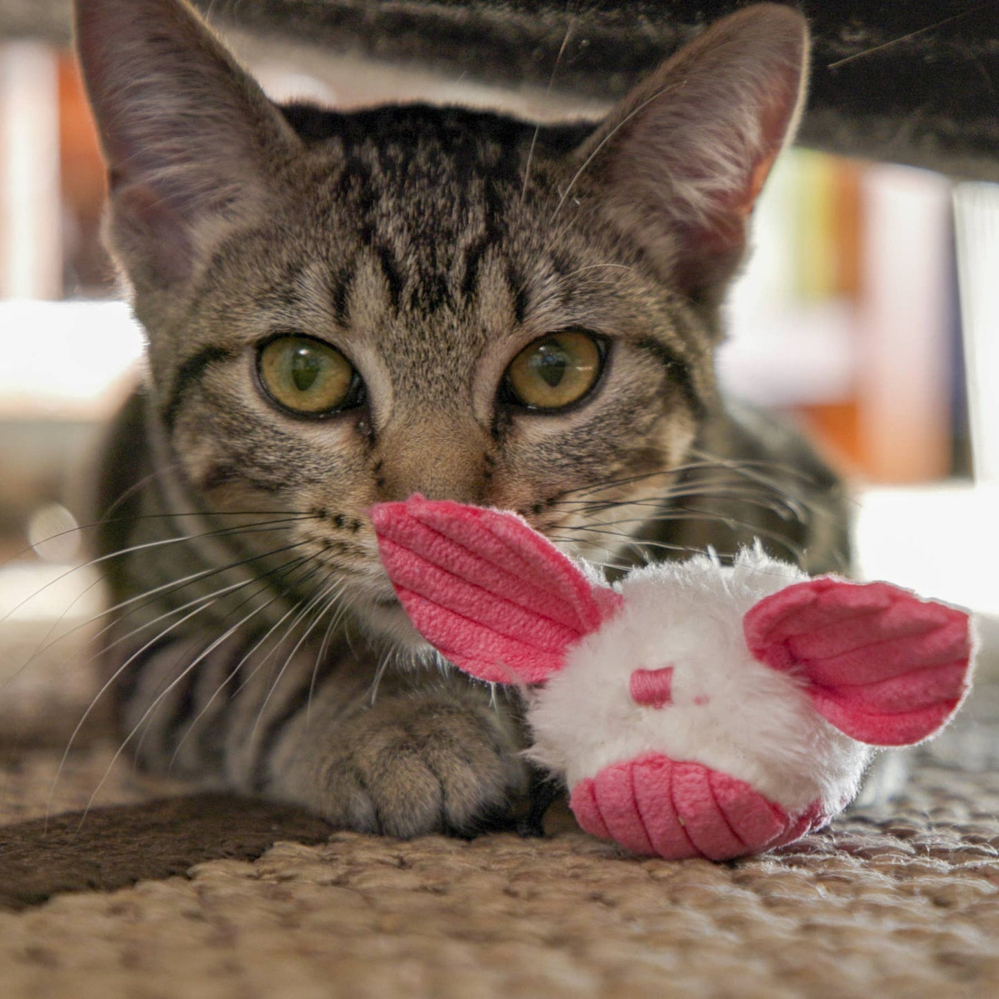 🐱💨HuggleKats® Dust Bunnies Cat Toys (3pk)