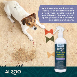 Enzymatic Stain & Odor Remover Lavender Vanilla