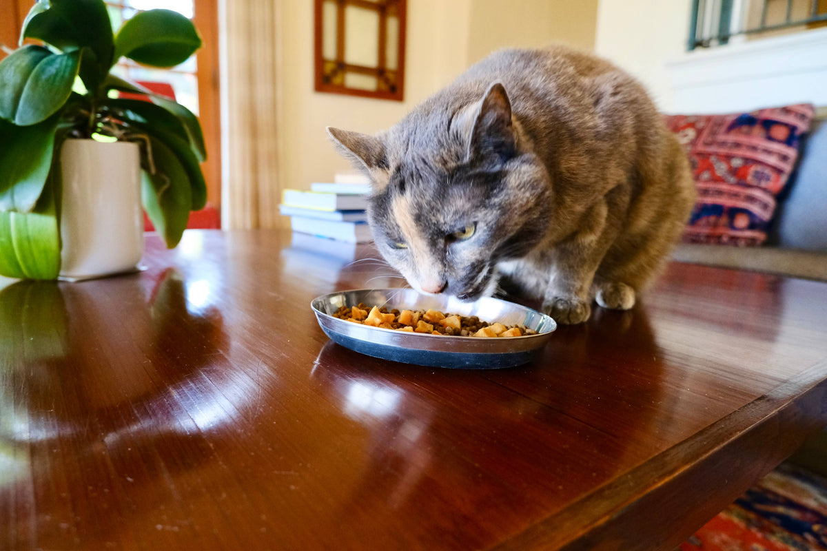 Cat Sushi Crunch Sake Pure Wild Salmon Bites 1.5oz