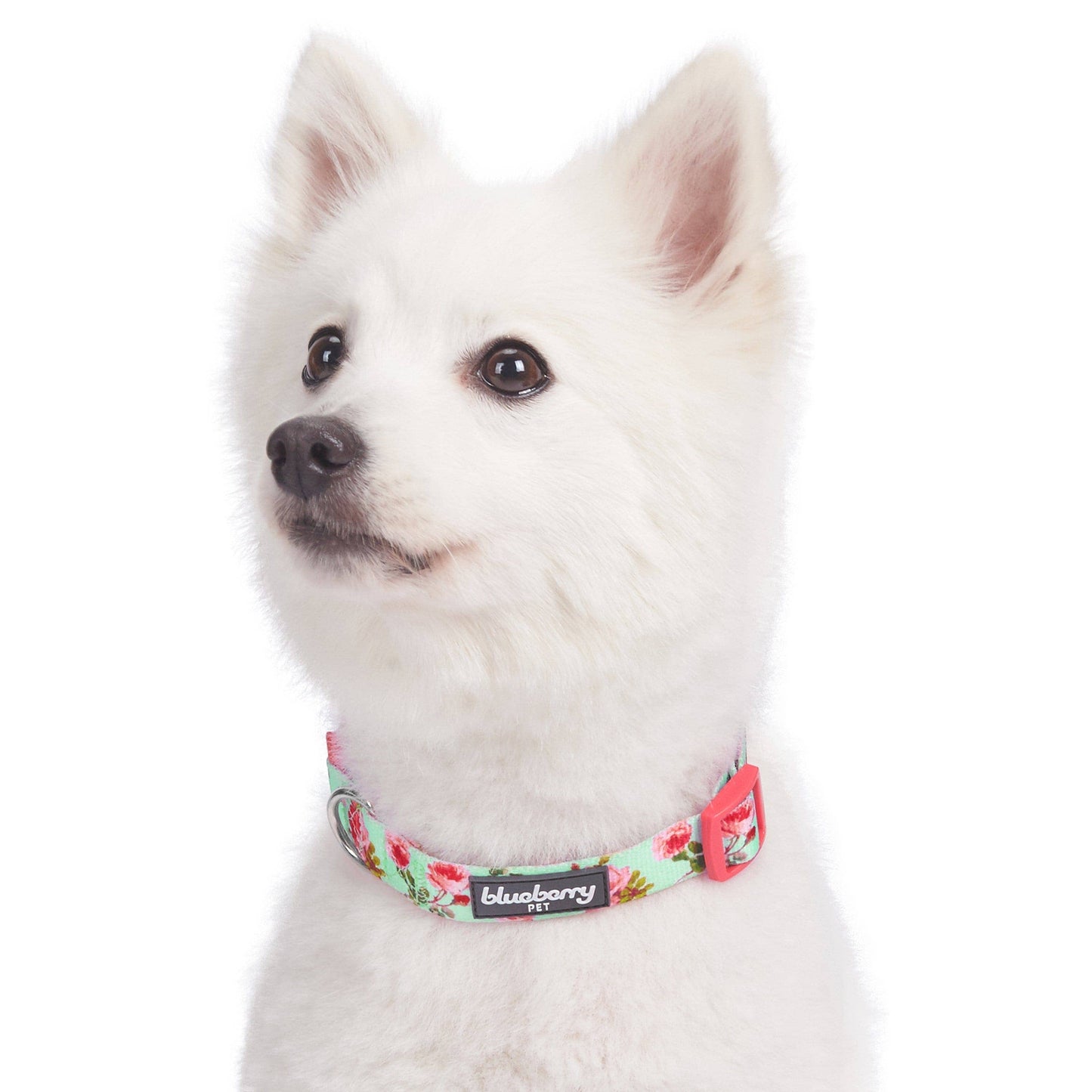 🌹 Best-Selling Floral Dog Collar – Elegant, Durable & Everyday Ready 🐾