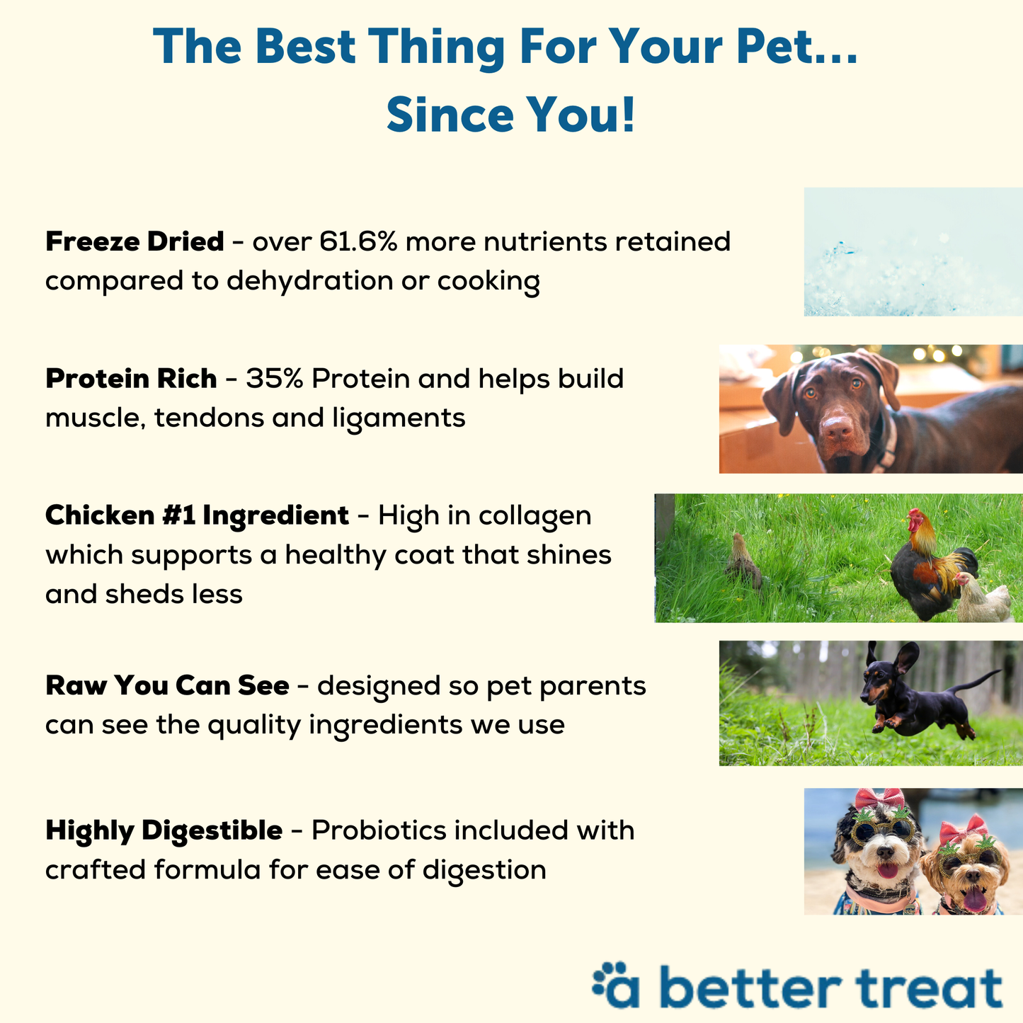 🥇🐾A Better Dog Food Chicken - High Protein - Raw You Can See
