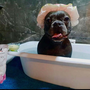 Cleopatra's Doggy Milk Bath