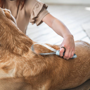 Ocean Plastic Pet Deshedding Grooming Tool