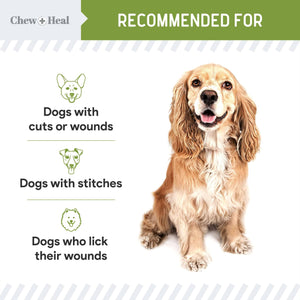 Pet First Aid Liquid Bandage