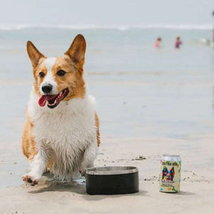 Tailwagger Craft Dog Beer