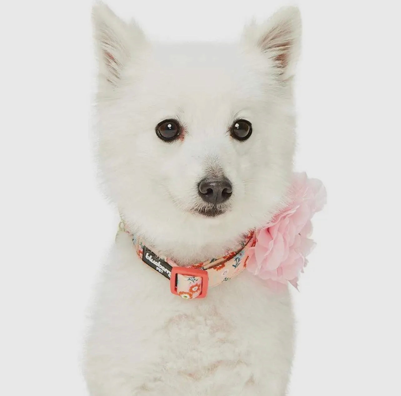 Floral Dog Collar with Detachable Pink Peony