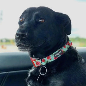 Spring Floral Pattern Light-Weighted Adjustable Dog Collar