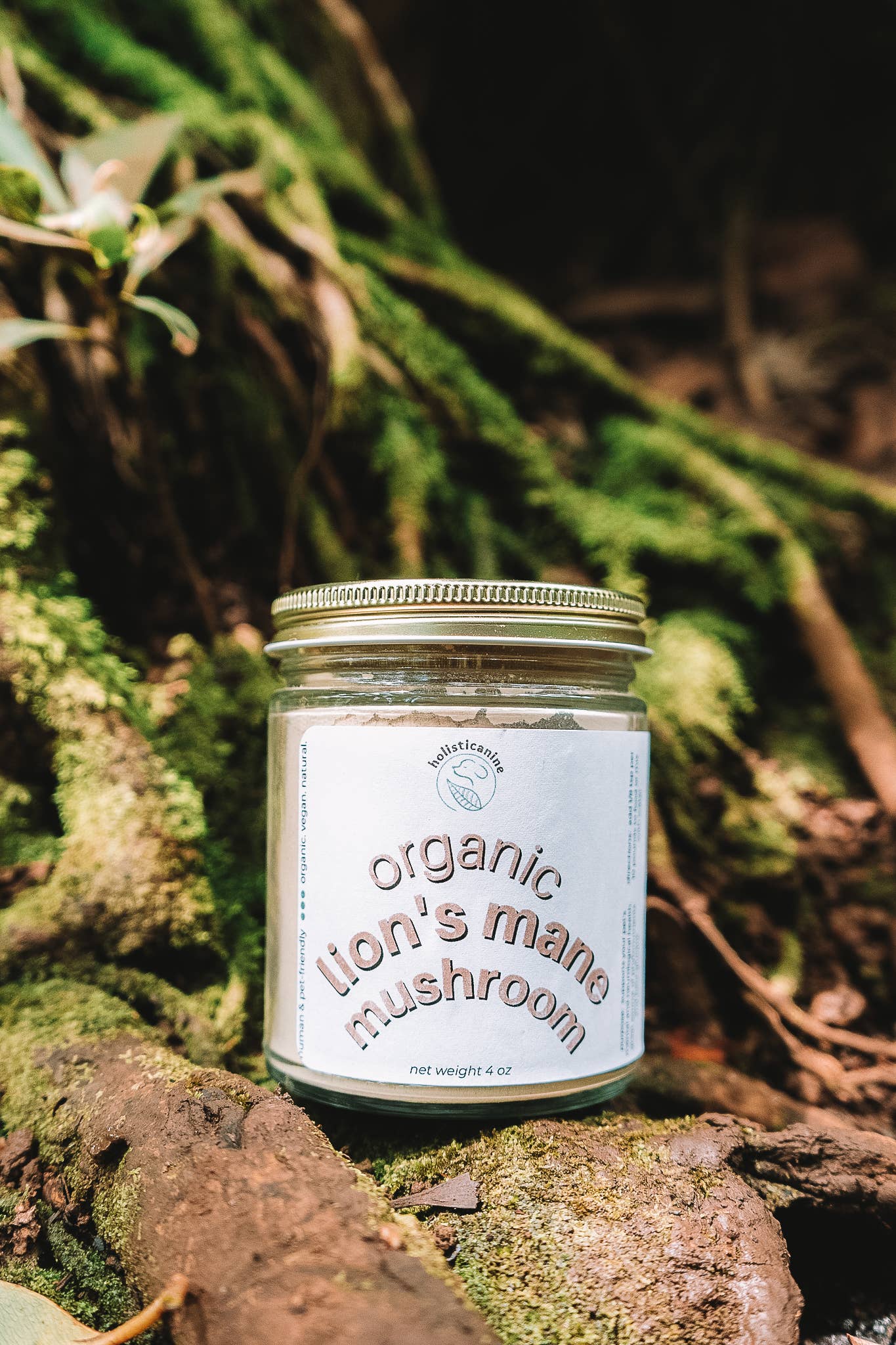 Organic Lion's Mane Mushroom Supplement