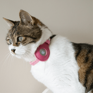 ✨🐱 Silver‑Powered Microfiber Vegan Leather AirTag Cat Collar