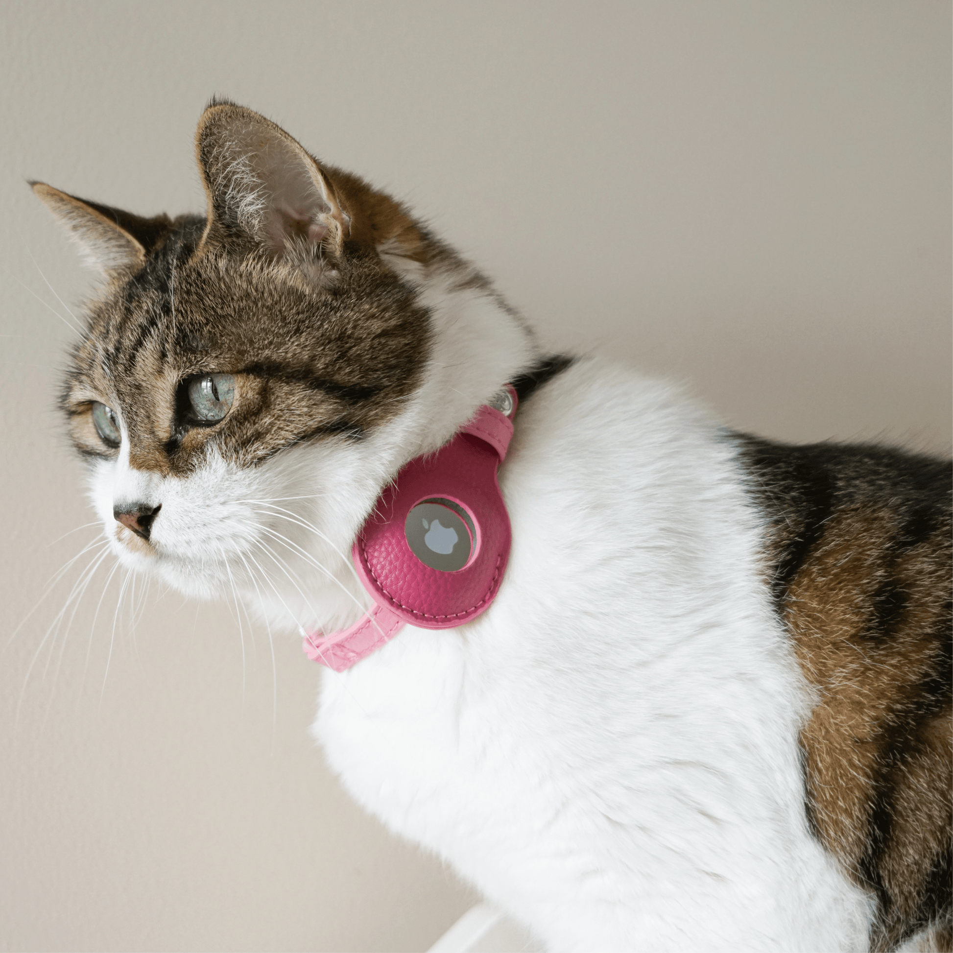 ✨🐱 Silver‑Powered Microfiber Vegan Leather AirTag Cat Collar