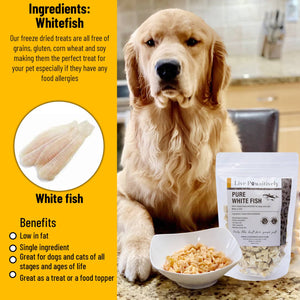 Whitefish Freeze Dried Treats