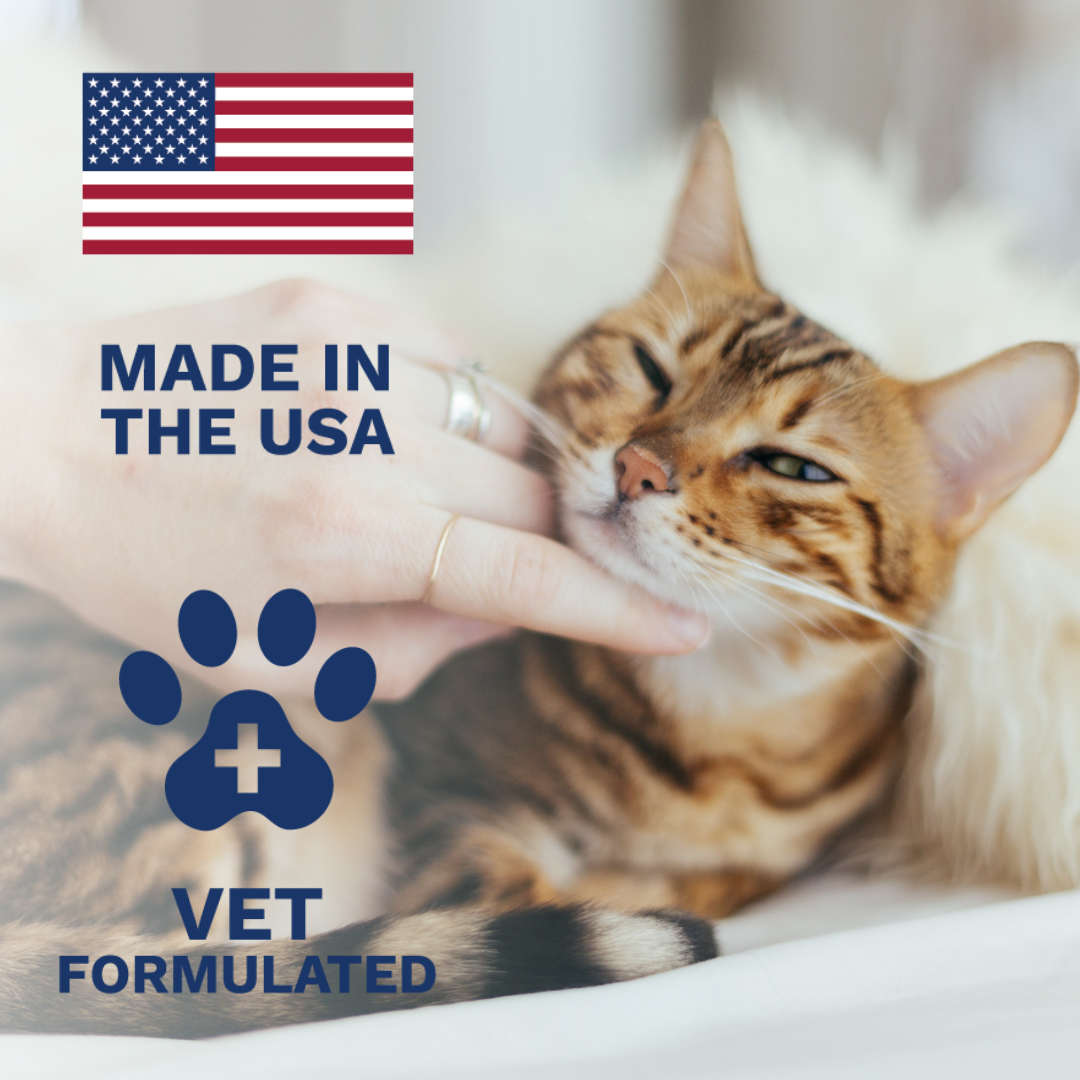 Anti-Diarrhea Liquid For Cats