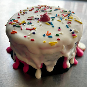 Neapolitan “ICE CREAM” Dog Cake Treat