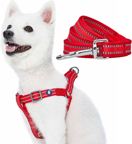 🐾🌙Essentials Reflective Matching Dog Harness & Leash Set