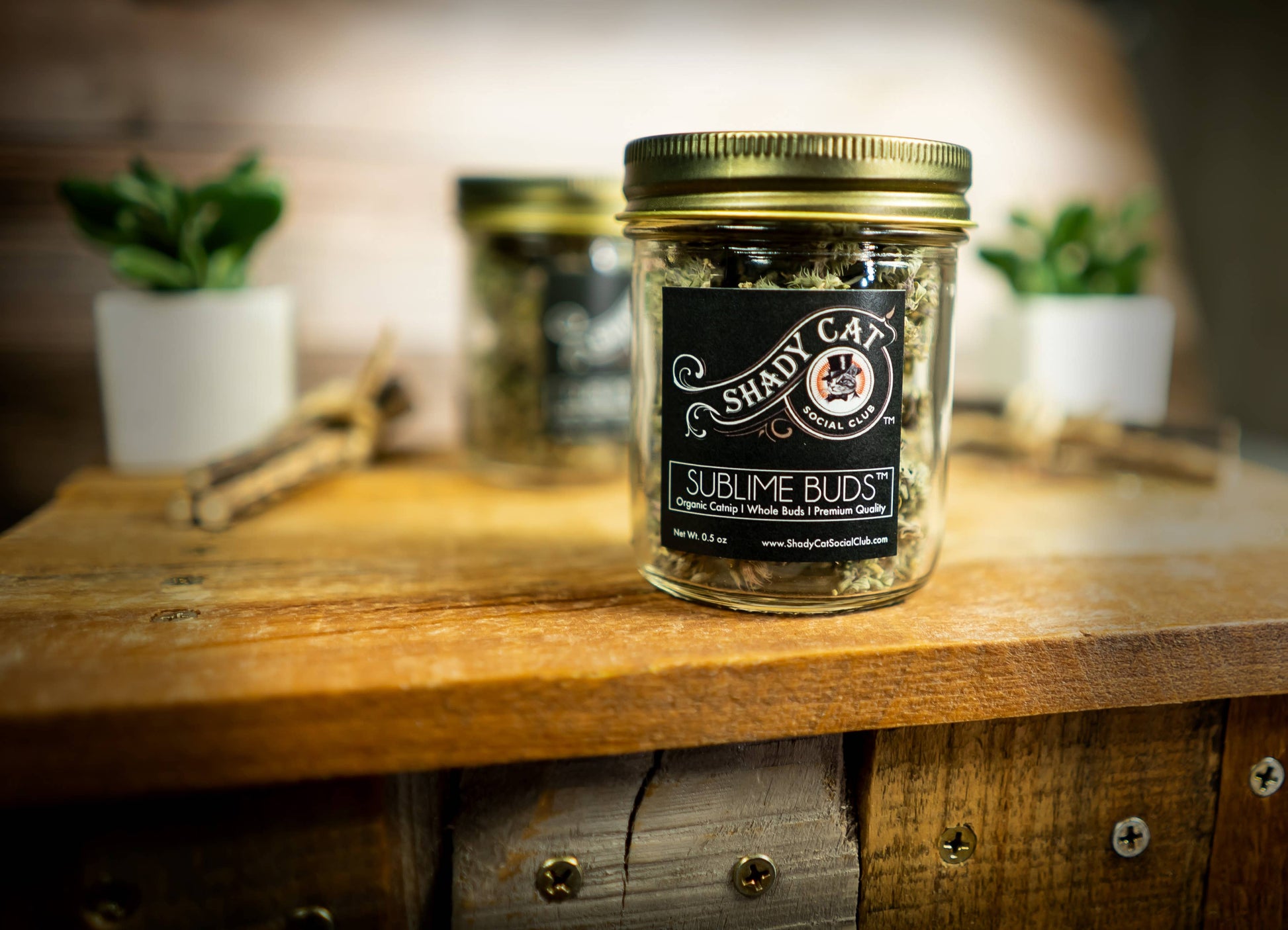 Christmas Gift for Pet | SUBLIME BUDS | Whole Catnip Flowers