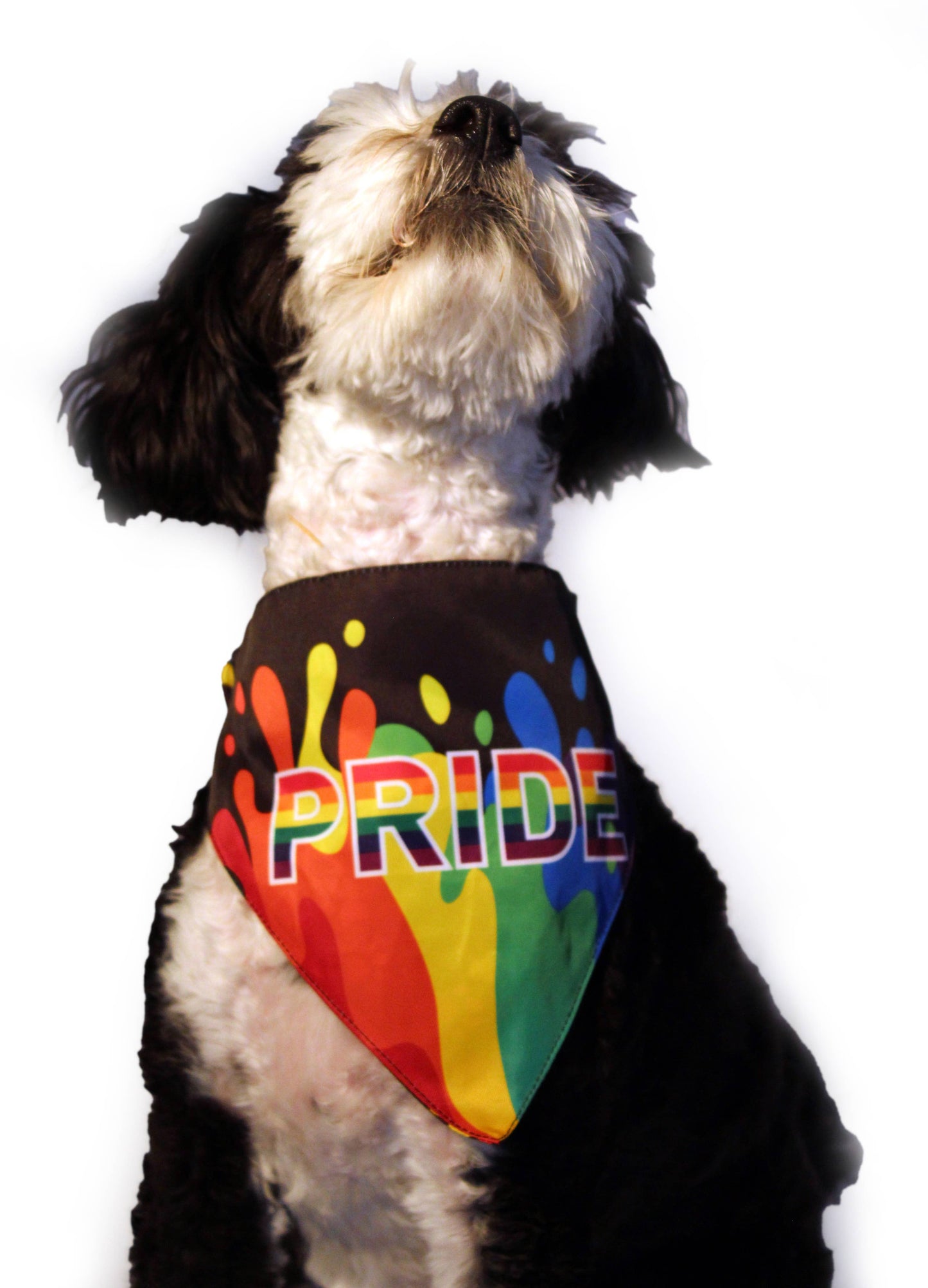 🌈🐾 HIP DOGGIE PRIDE Dog Bandana