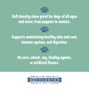 Yogurt Yak Cheese Sticks - Plain