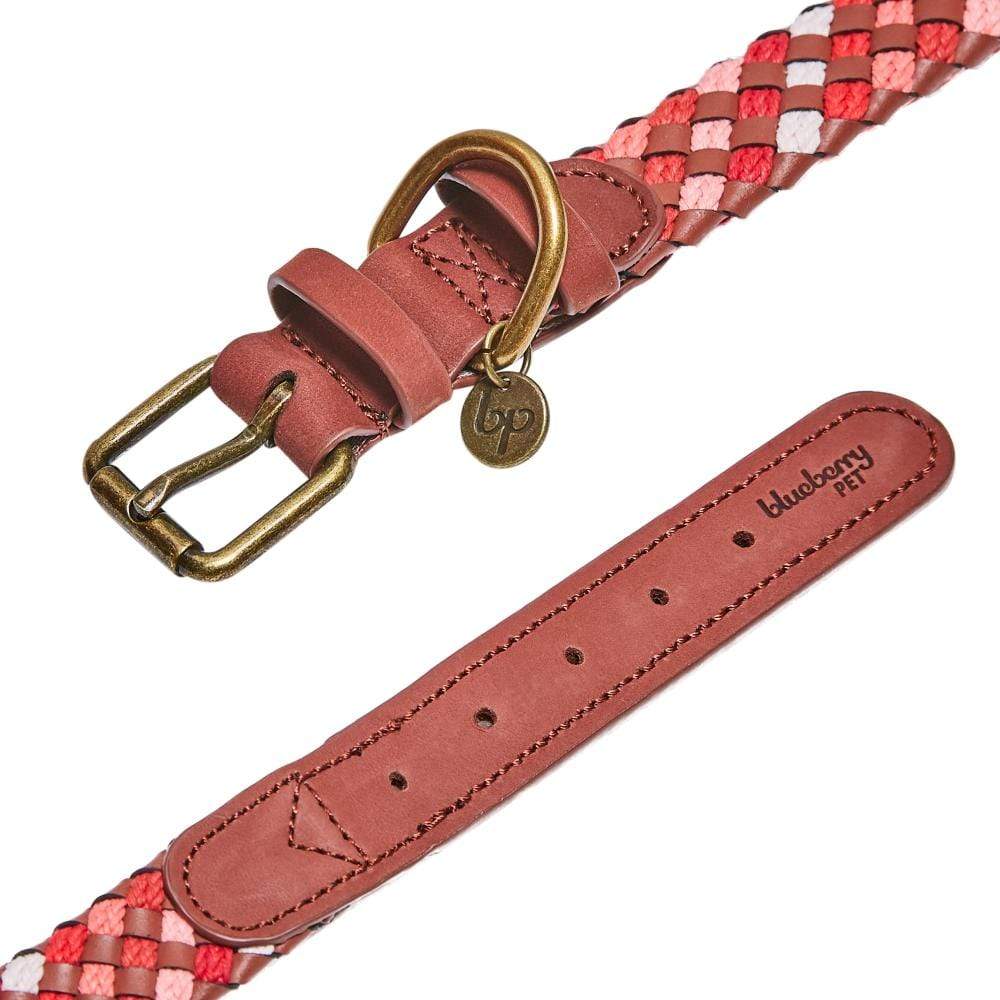 2 Colors, Braided Full Grain Leather Dog Collar