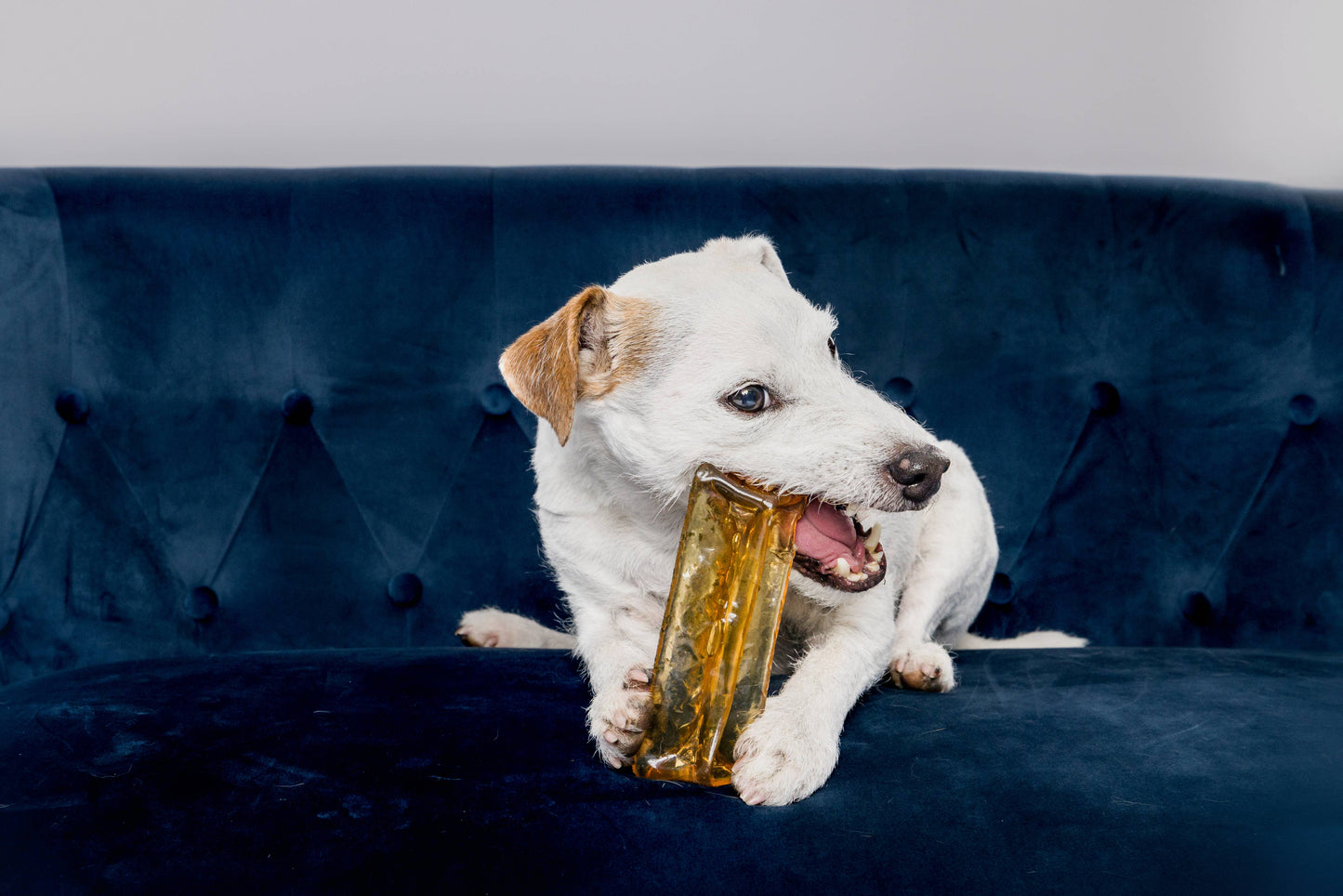 Mighty Marrows Collagen Chew