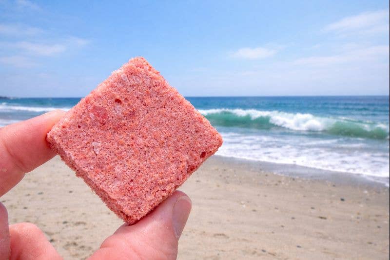 Freeze-Dried Organic Egg & Goat Kefir: Organic Strawberry