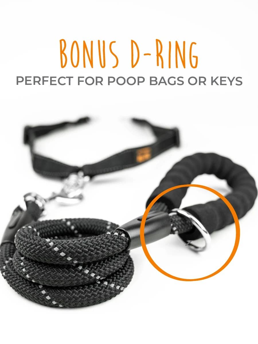 🐕🐕 Double Dog Leash Coupler – Tangle-Free Walking for Two Dogs 🖤✨