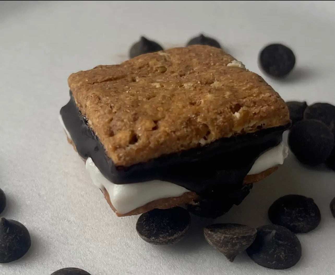 Campfire S’mores for Dogs