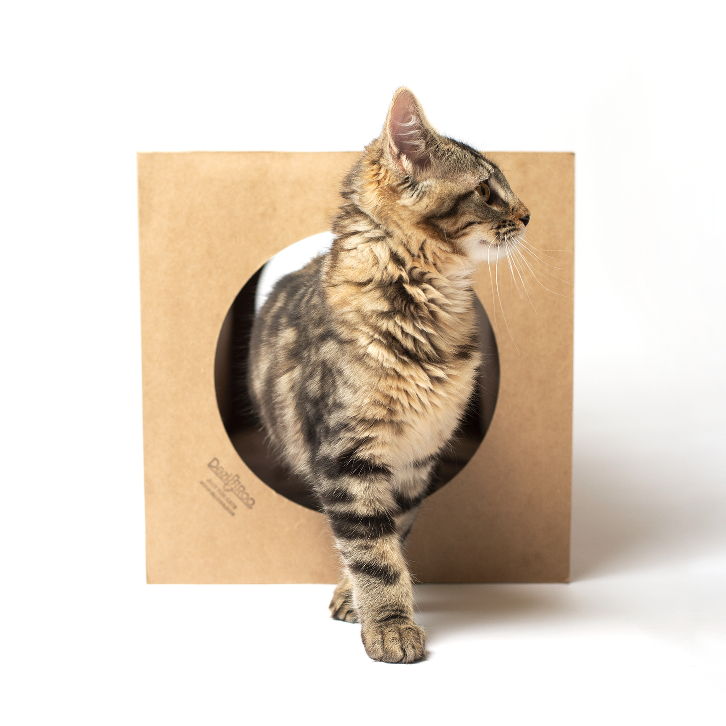 Hide & Sneak Paper Cat Play Tunnel