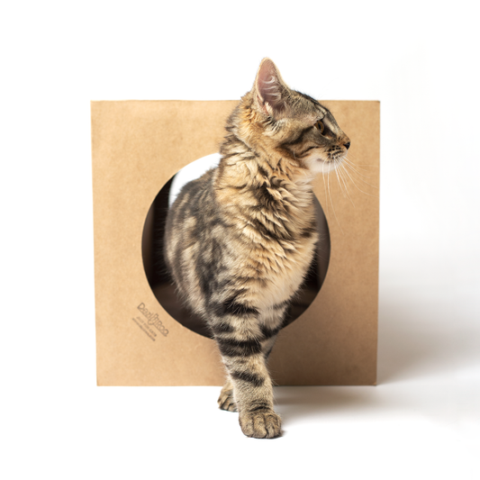 Hide & Sneak Paper Cat Play Tunnel